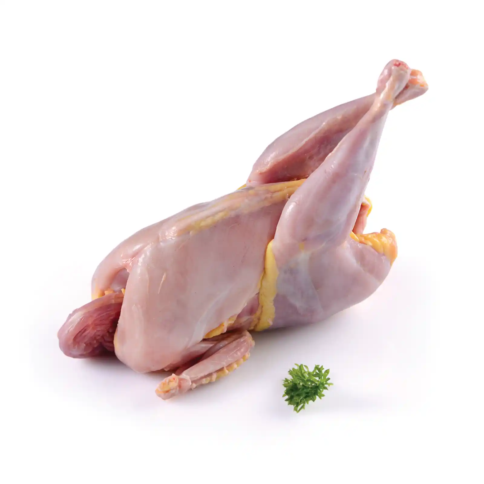 Hybrid Chicken