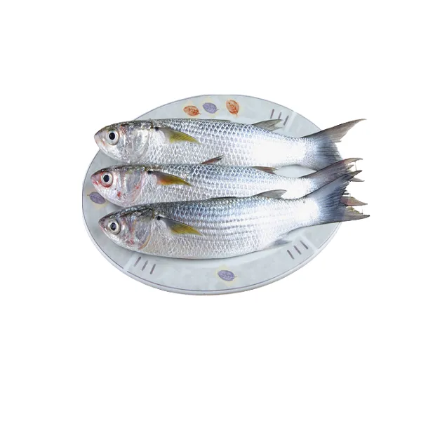 Faisa Fish