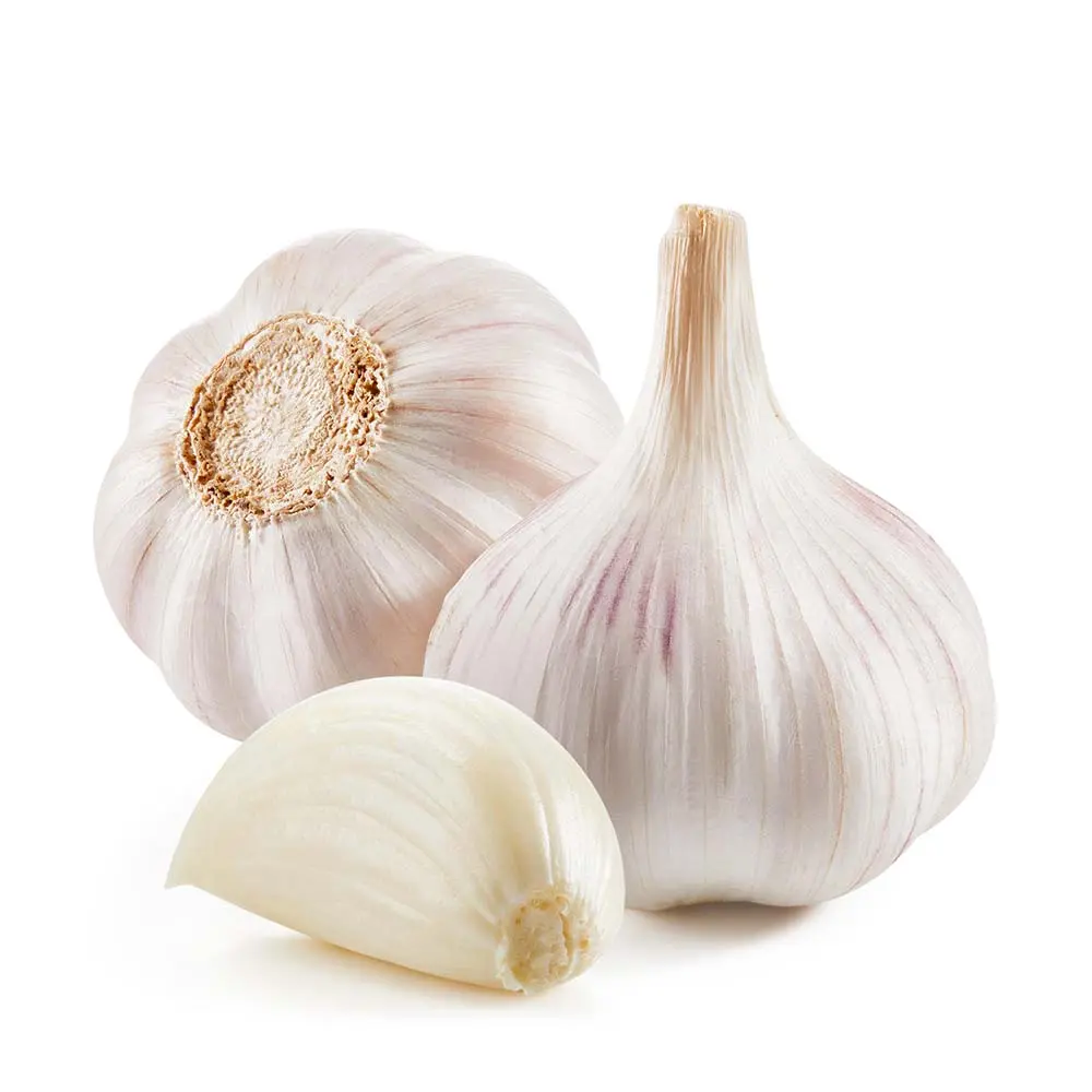GARLIC MULTICELL CHINA LOSE/KG