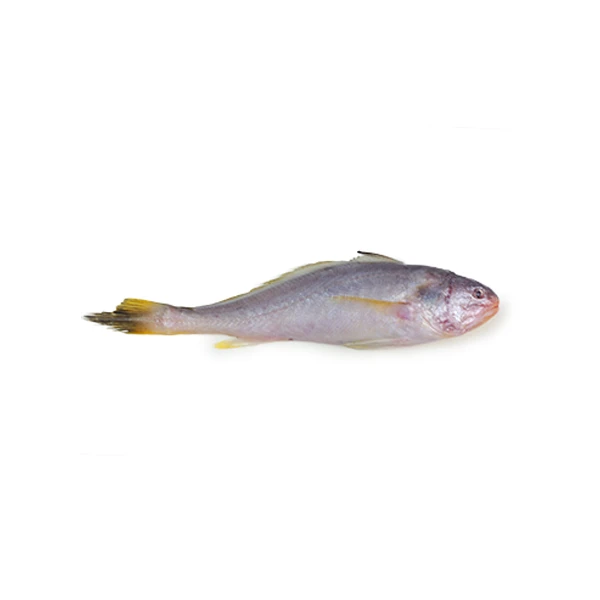 Powa Fish