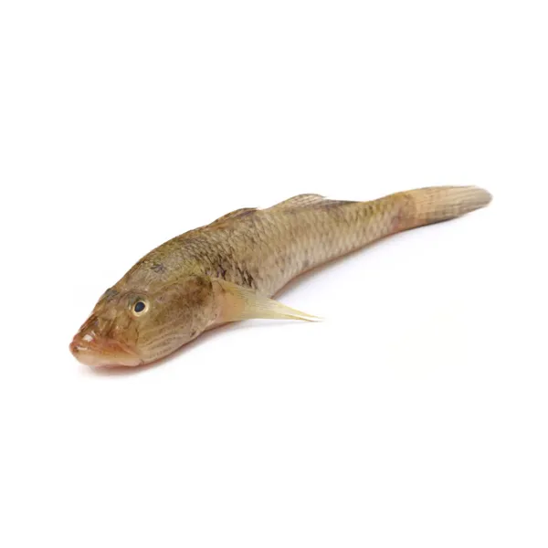 Bele Fish