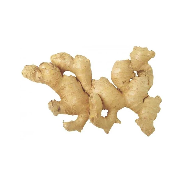 Ginger china